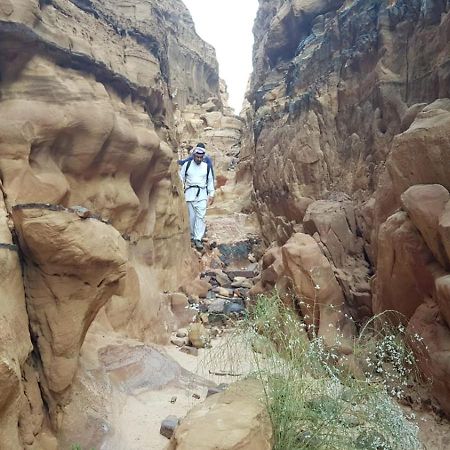 Bedouin Stylelife Camp 호텔 와디럼 외부 사진