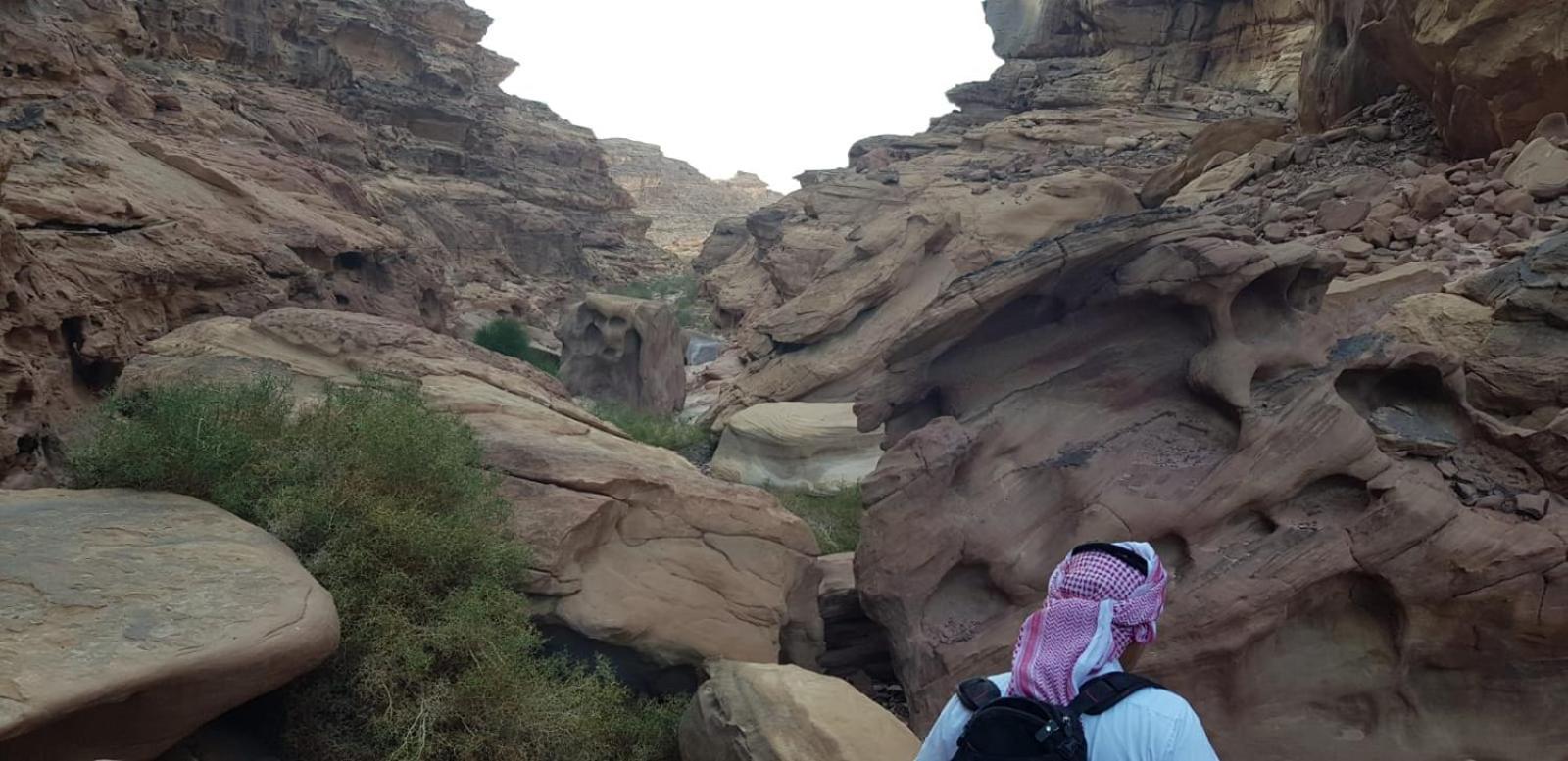 Bedouin Stylelife Camp 호텔 와디럼 외부 사진