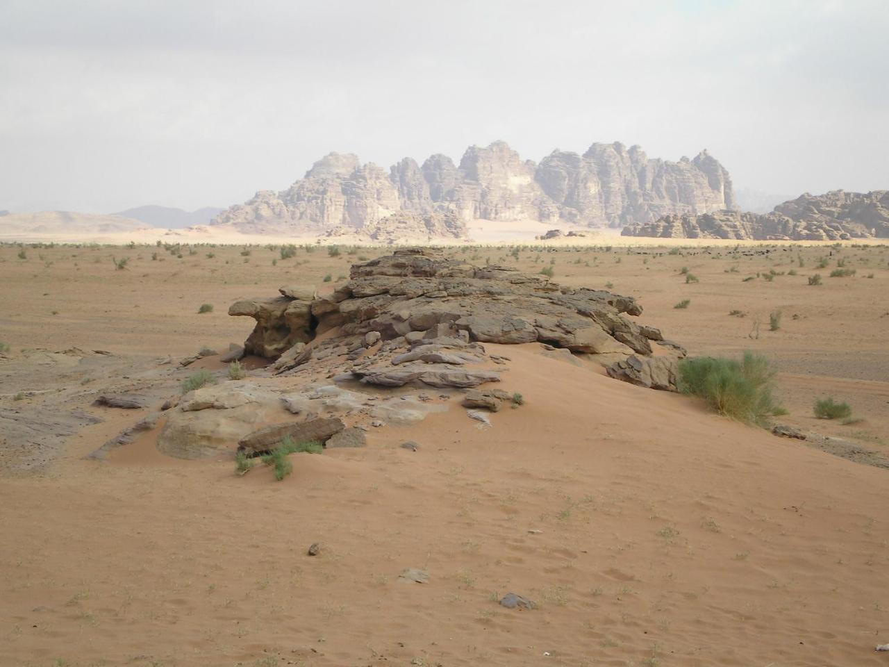 Bedouin Stylelife Camp 호텔 와디럼 외부 사진